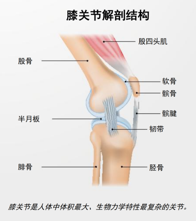 1779077113225308.png 微信图片_20260518120248.png