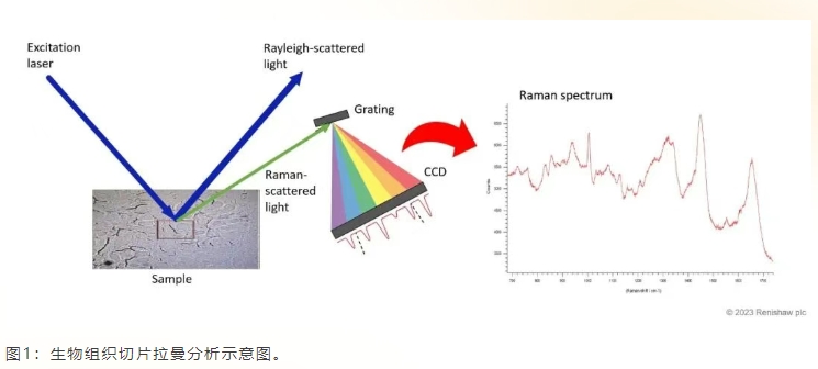 微信截图_20260702195056.png
