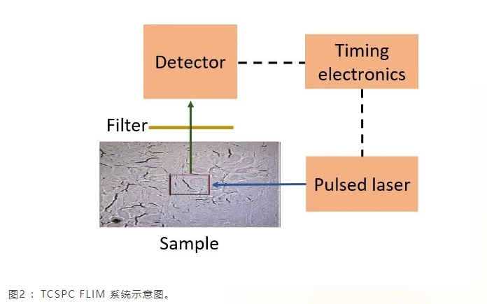 微信截图_20260702195106.png