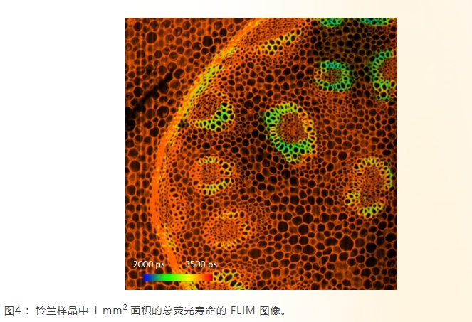 微信截图_20260702195124.png